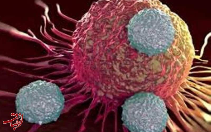 تاثیر میکروب های روده در ابتلا به سرطان سینه