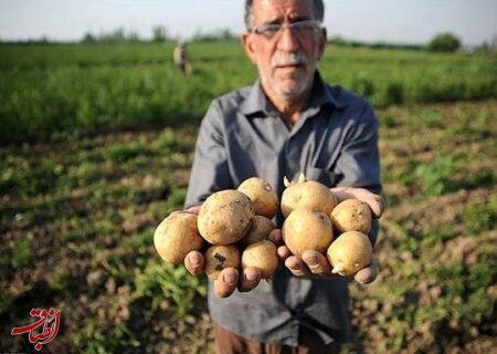 افشاگری رئیس اتحادیه محصولات کشاورزی درباره برگشت خوردن میوه‌های ایرانی