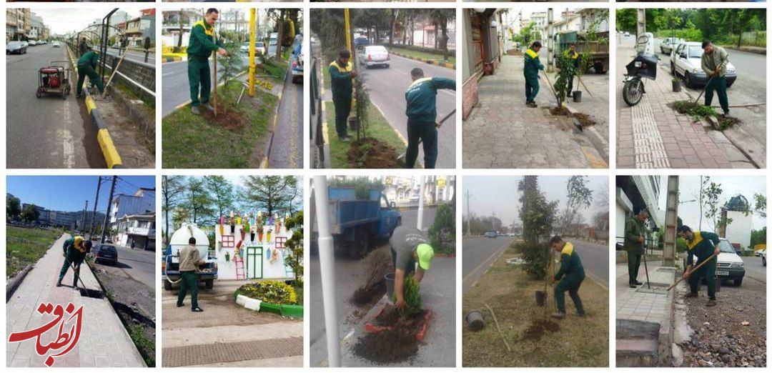 بیش از ۲۳۰۰ اصله درخت در پنج ماه گذشته توسط شهرداری لاهیجان کاشت شد‌