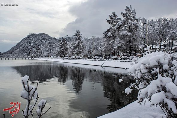 رضا زنده دل :شهرداری لاهیجان آماده بارش برف زمستانی است