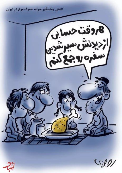 کاهش چشمگیر سرانه مصرف مرغ در ایران – محمدرضا ثقفی