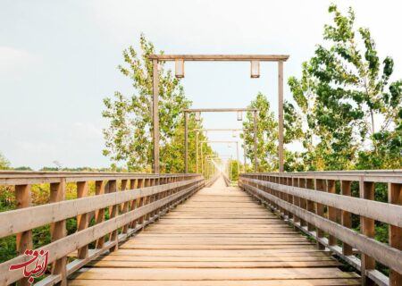 بازپیرایی پل چوبی، بهسازی پارک شهروند و بتن‌ریزی معابر در بندرکیاشهر