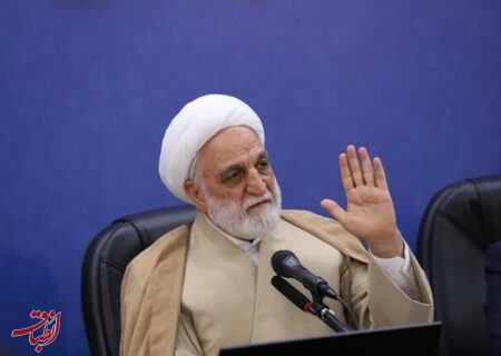 اژه‌ای: گاهاً همه مجرمان و زندانیان امنیتی را زندانی سیاسی می‌نامند و بعضاً عکس