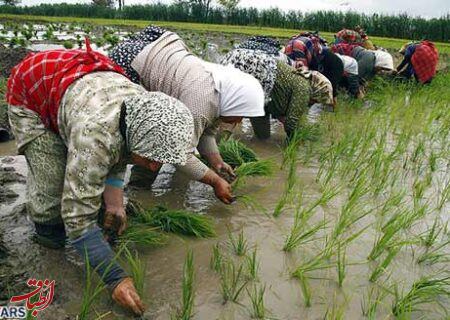 آستارا بدون تنش آبی وارد فصل زراعی شد؛ ذخایر کامل و آب‌بندان‌های سرریز